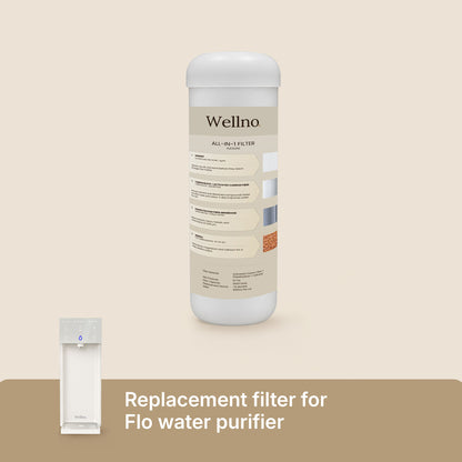 Wellno Flo replacement filter, five-stage all-in-one cartridge